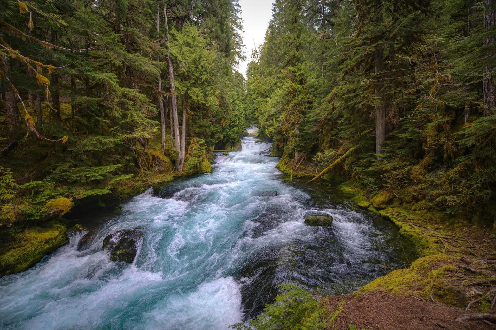 Ferienwohnung Am Seebach'L Bayerisch Eisenstein Dış mekan fotoğraf
